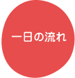 一日の流れ